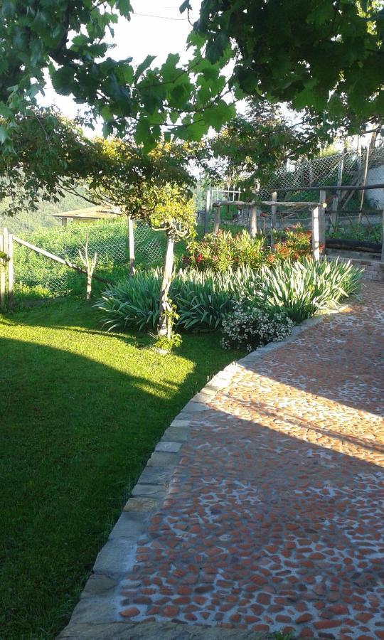 Magiche Langhe Bed & Breakfast Paroldo Eksteriør bilde
